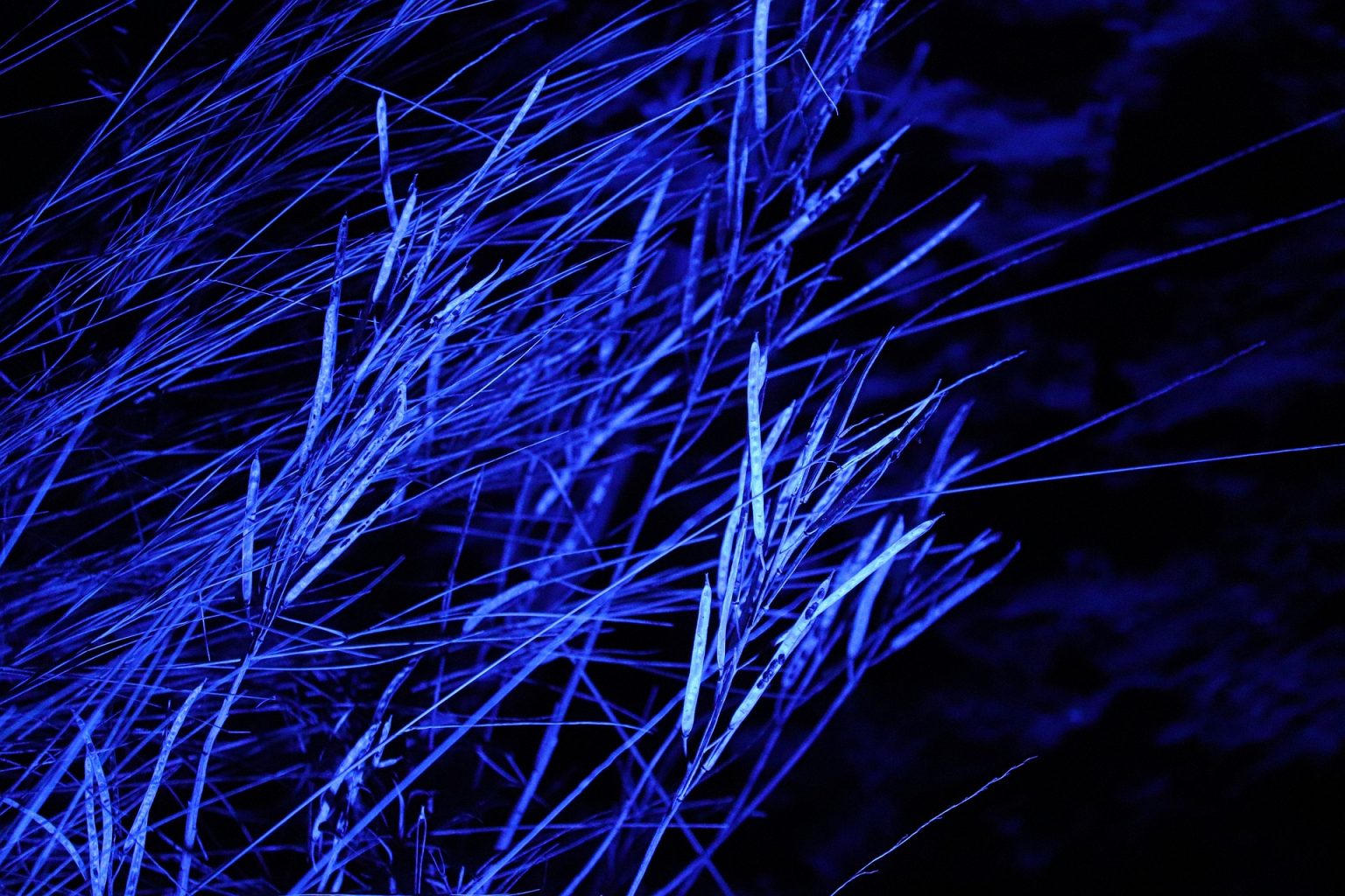 Convertir luz azul en ultravioleta cuidando el NextCity Labs